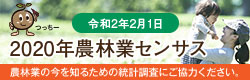 2020年農林業センサス